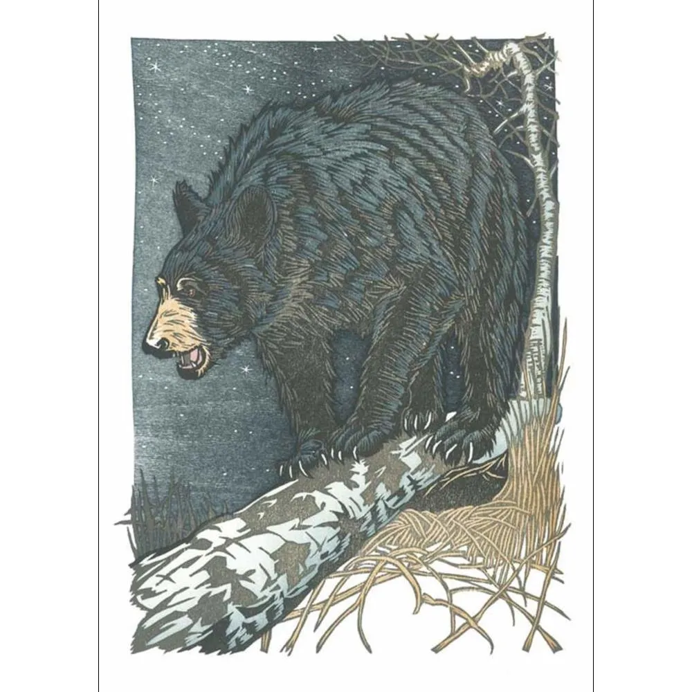Artists To Watch Boxed Cards 8pk Nick Wroblewski